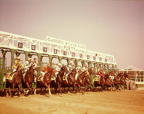 Starting Gate Wall Art Fine Art America Starting Gate Wall Art Fine Art America