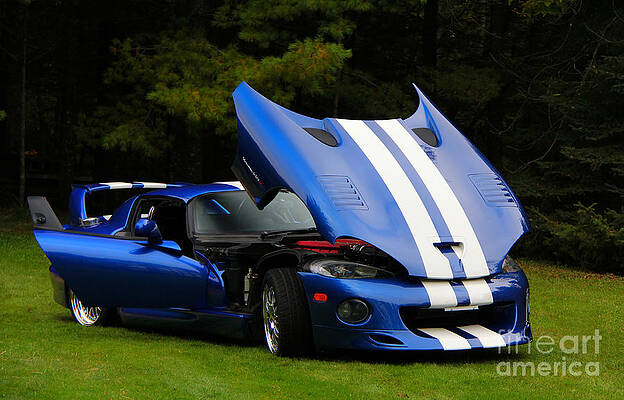 1997 Viper Hennessey Venom 650r 4 by Davandra Cribbie 1997 Viper Hennessey Venom 650r 4 by Davandra Cribbie