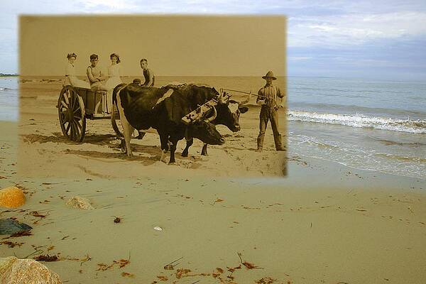 A Day at the Beach in Little Compton RI by Jeff Hayden