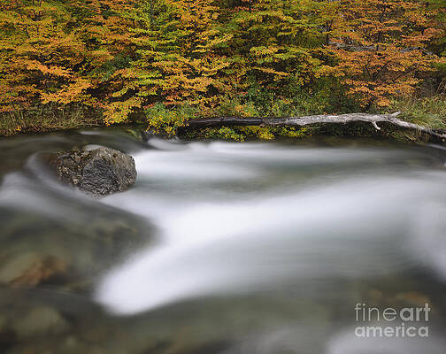 Wall Art - Photograph - Autumn In Los Glaciares National Park #2 by John Shaw