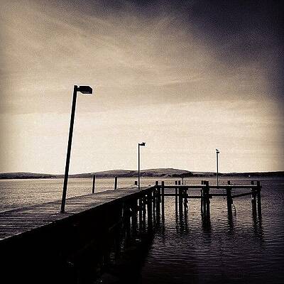 Wall Art - Photograph - 2 Bird Dock by CML Brown
