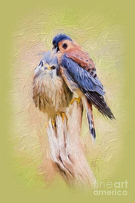 2 Birds by Lynne Alexander 2 Birds by Lynne Alexander