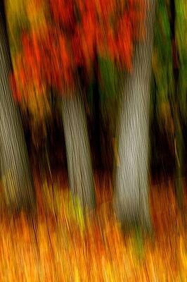 Blazing in the Woods by Randy Pollard Blazing in the Woods by Randy Pollard