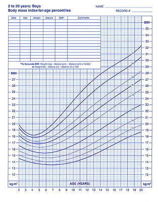 Wall Art - Photograph - Body Mass Index Chart #2 by Science Photo Library