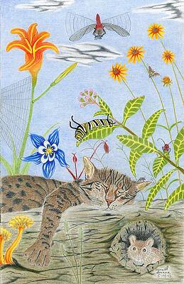 Wall Art - Drawing - Cat And Mouse by Gerald Strine