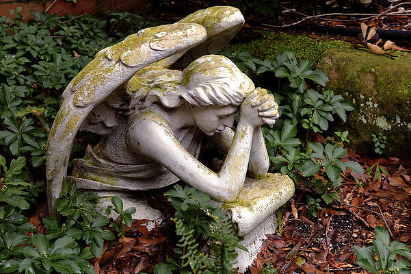 Wall Art - Photograph - Even the Angles Need to Pray #2 by Jerry Gammon