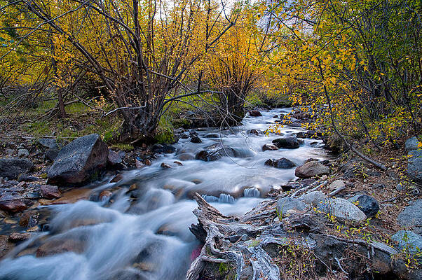 Fall at Big Pine Creek by Cat Connor Fall at Big Pine Creek by Cat Connor