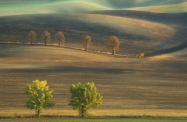 Wall Art - Photograph - Fields... #2 by Krzysztof Browko