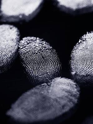 Wall Art - Photograph - Finger Prints #2 by Science Photo Library
