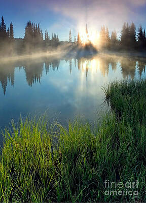 Wall Art - Photograph - Blinded by the Light by Michael Dawson