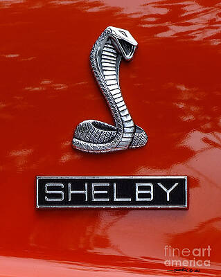 GT350Shelby by Jonathan Fine GT350Shelby by Jonathan Fine