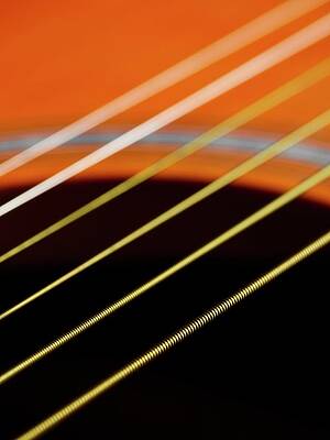Wall Art - Photograph - Guitar Strings #2 by Science Photo Library