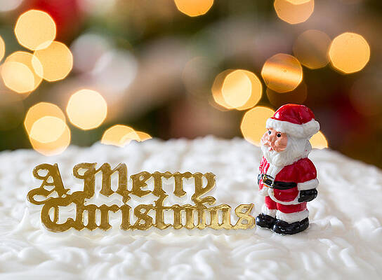 Wall Art - Photograph - Icing on Christmas cake with tree lights #2 by Steven Heap