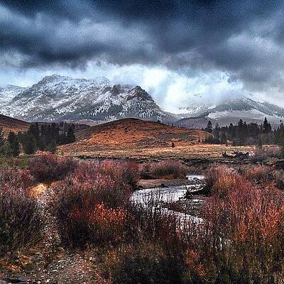 Wall Art - Photograph - Instagram Photo #2 by Cody Haskell