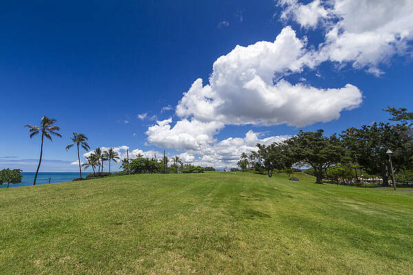 Kakaako waterfront park Oahu Hawaii by Jianghui Zhang