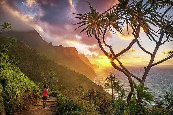 Wall Art - Photograph - Kauai #2 by Christian Heeb
