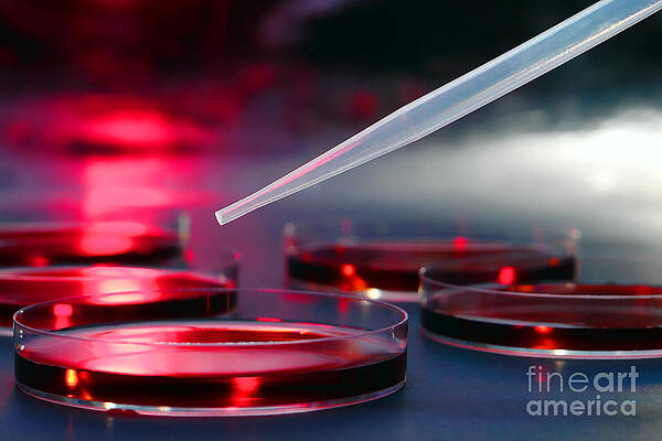 Wall Art - Photograph - Laboratory Experiment in Science Research Lab #2 by Olivier Le Queinec