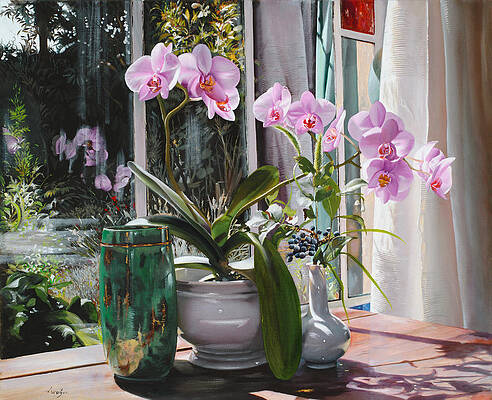 le orchidee rosa by Danka Weitzen le orchidee rosa by Danka Weitzen