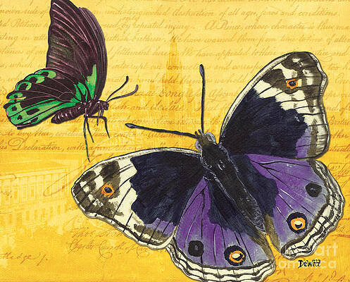 Papillon Paintings for Sale - Pixels Merch