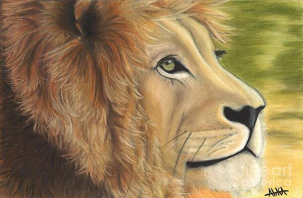 Wall Art - Drawing - Lion's Dynasty by Alika Crooks
