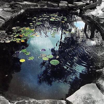 Wall Art - Photograph - Meditation #2 by Mark David Gerson