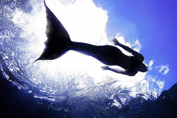 Mermaid by Steve Williams Mermaid by Steve Williams