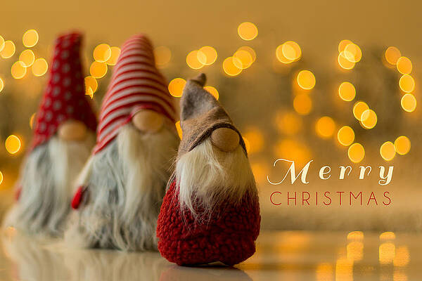 Wall Art - Photograph - Merry Christmas greeting card #2 by Aldona Sate