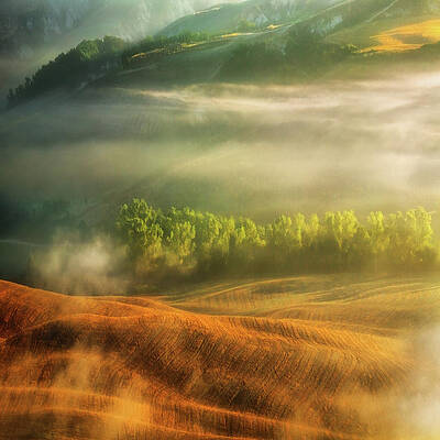 Wall Art - Photograph - Mist... #2 by Krzysztof Browko