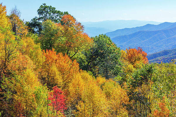Wall Art - Photograph - North Carolina, Great Smoky Mountains #2 by Jamie and Judy Wild