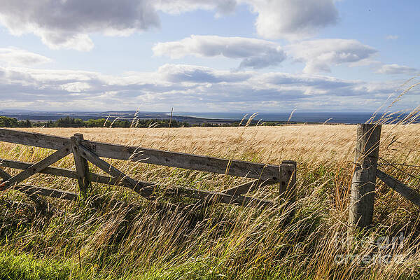Wall Art - Photograph - Open Gate #2 by Diane Macdonald