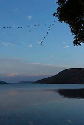 Otsego Evening Takeoff I by Jeff Kantorowski