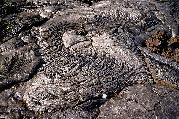 Wall Art - Photograph - Patterns In Cooled Pahoehoe Lava #2 by Science Photo Library