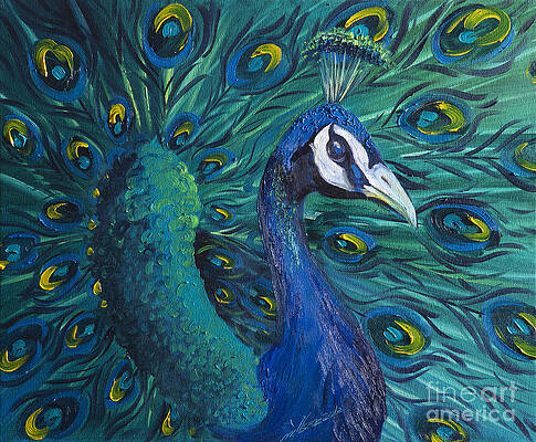 Peacock Paintings (Page #15 of 35) | Fine Art America