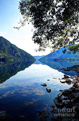 Reflection on Lake Crescent Vertical by Sarah Schroder Reflection on Lake Crescent Vertical by Sarah Schroder