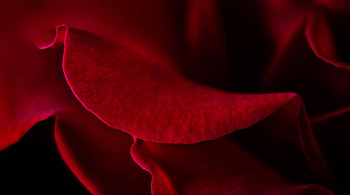 Wall Art - Photograph - Ruby Lips by Mary Jo Allen