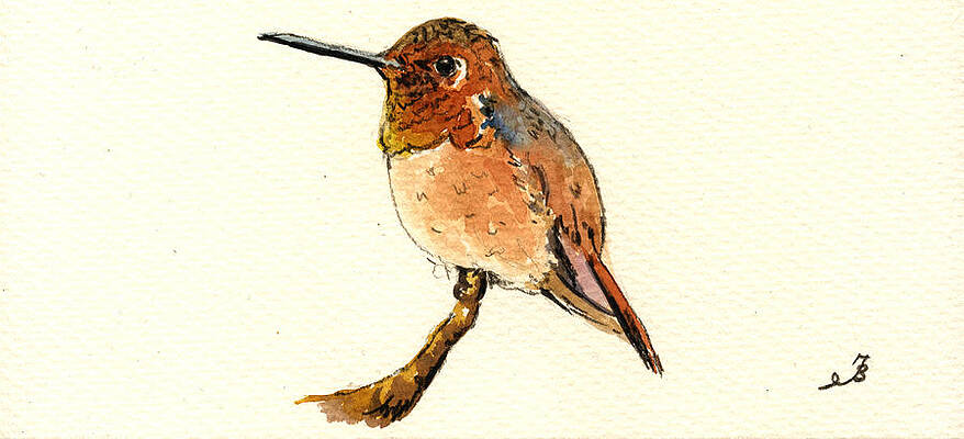 metallic colours hit finish pen and ink illustration handmade eco friendly vegan art ORIGINAL ARTWORK Rufous hummingbird by Morgana weeks