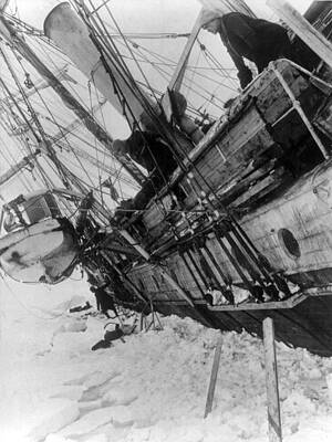 Wall Art - Photograph - Shackletons Endurance Trapped In Pack #2 by Science Source