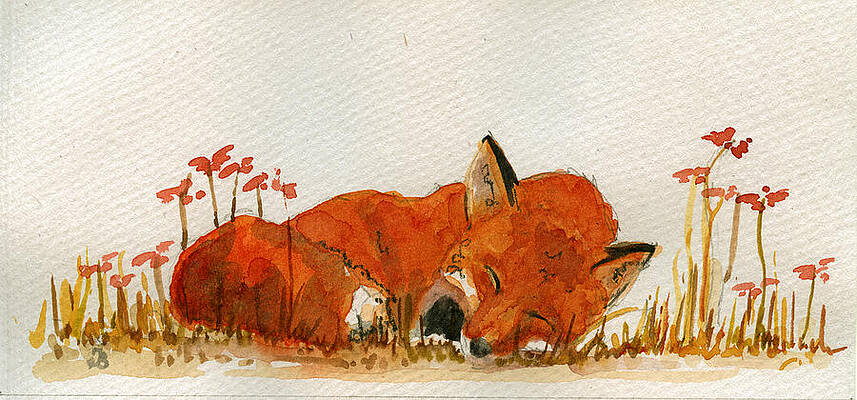 Wall Art - Painting - Sleeping red fox #2 by Juan  Bosco