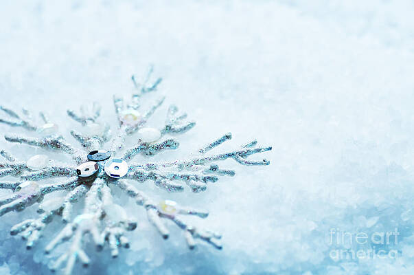 Wall Art - Photograph - Snowflake in snow #2 by Michal Bednarek
