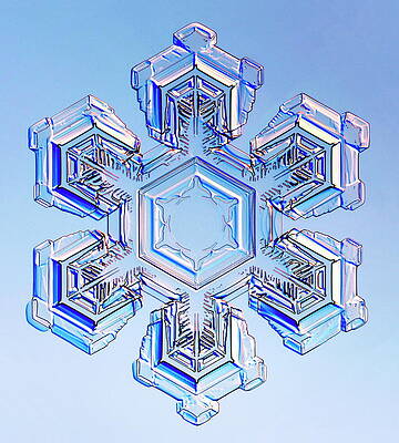 Wall Art - Photograph - Snowflake #2 by Science Photo Library