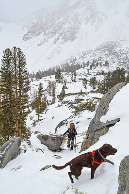 Wall Art - Photograph - Snowshoeing To Temple Crag With Mans #2 by Taylor Reilly