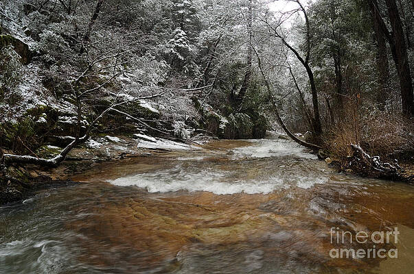 Wall Art - Photograph - Spring Snowfall On Berry Creek, Sierras #2 by Ron Sanford