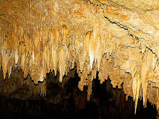 Wall Art - Photograph - Stalactite Formations In Carlsbad #2 by Millard H. Sharp