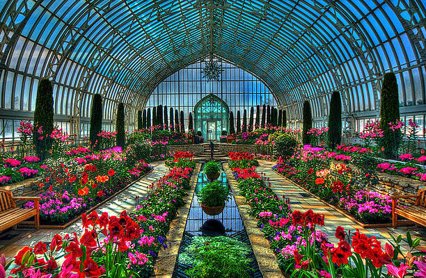 Sunken Garden Como Conservatory by Amanda Stadther Sunken Garden Como Conservatory by Amanda Stadther