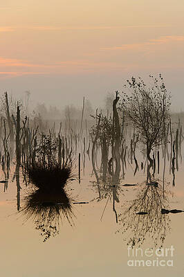 Wall Art - Photograph - Sunrise In Germany #2 by Willi Rolfes