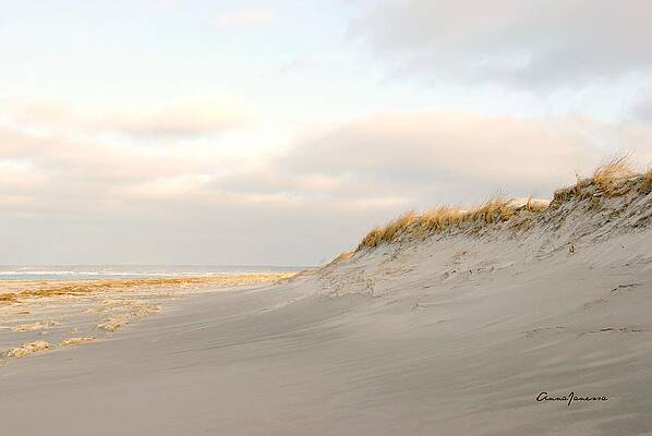 Sunset on Crane Beach by AnnaJanessa PhotoArt Sunset on Crane Beach by AnnaJanessa PhotoArt