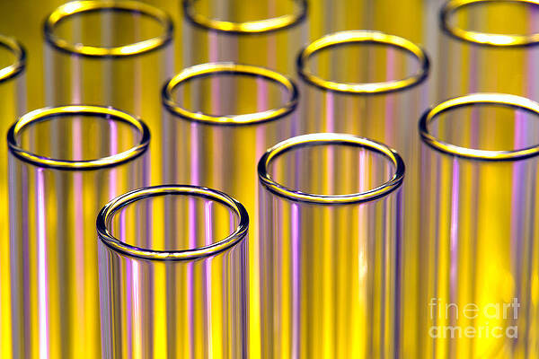 Wall Art - Photograph - Test Tubes in Science Research Lab #2 by Science Research Lab