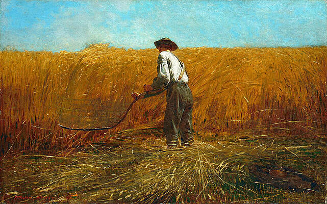 The Veteran in a New Field Print by Winslow Homer