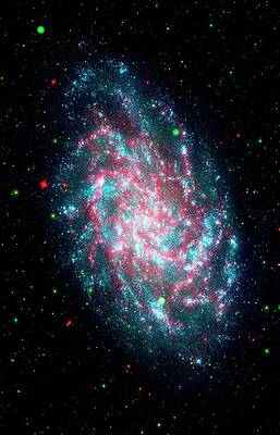 Wall Art - Photograph - Triangulum Galaxy (m33) #2 by Science Photo Library