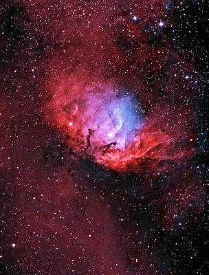 Wall Art - Photograph - Tulip Nebula #2 by Science Photo Library